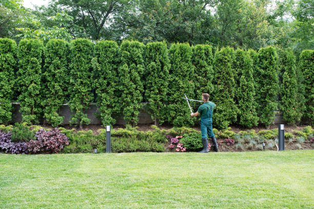Best Landscape Design and Installation  in Renton, WA